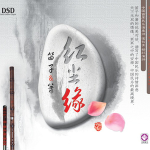 青春禁区视频在线观看
